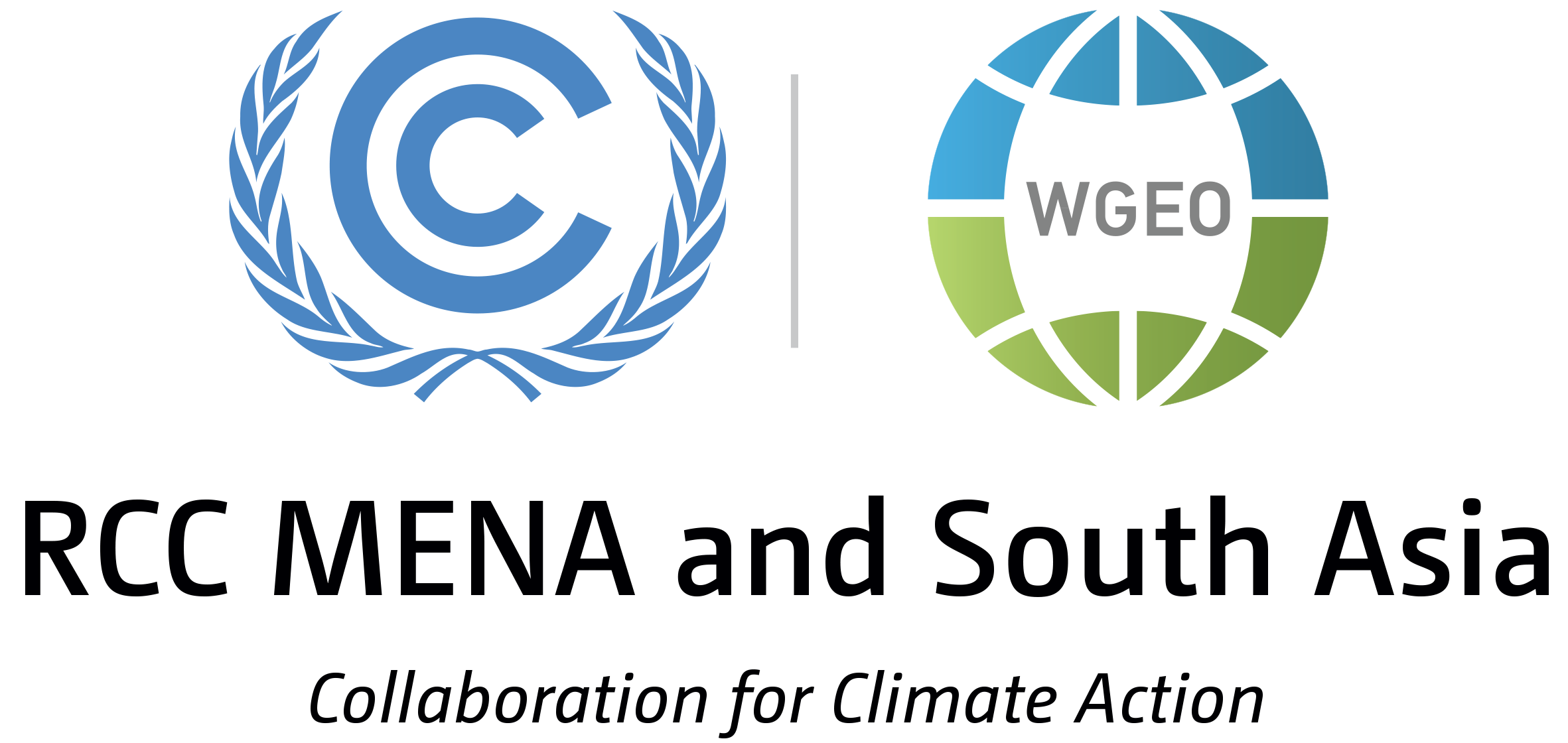 RCCMENA_final_Vlogo